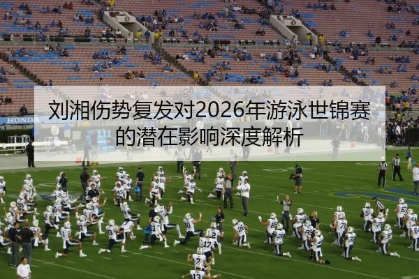 刘湘伤势复发对2026年游泳世锦赛的潜在影响深度解析